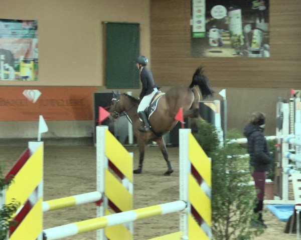 Reitturnier Gut Winkelacker/Obb. 2021