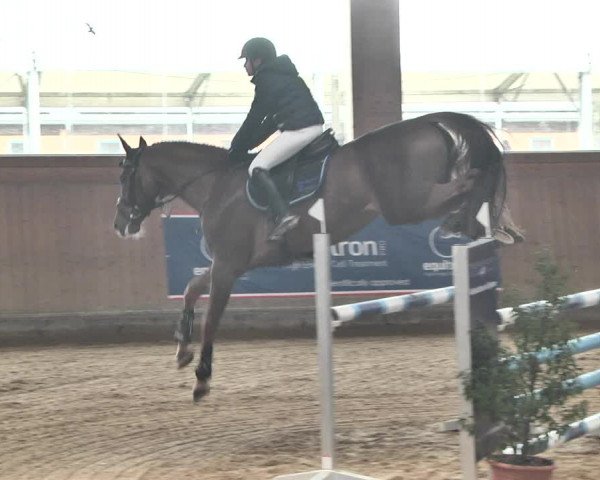 Reitturnier Gut Winkelacker/Obb. 2021