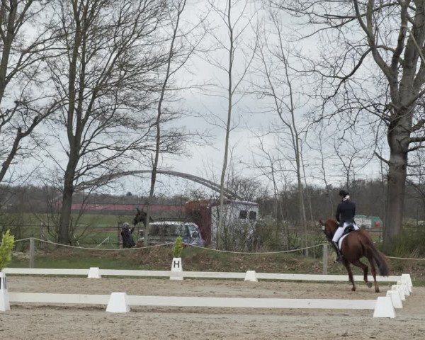 Jezdecký turnaj Scharnebeck 2021