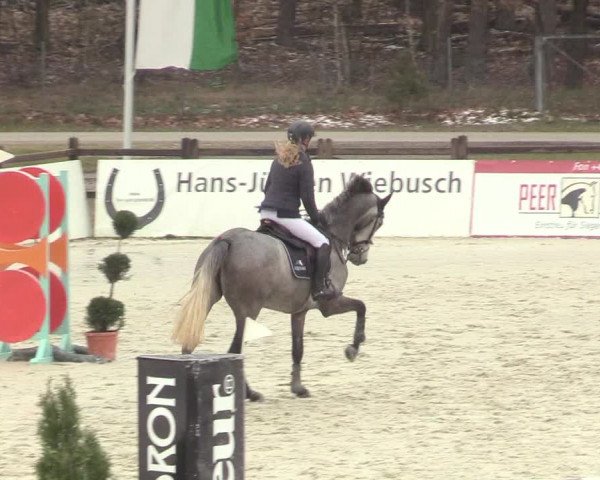 Reitturnier Westergellersen 2021