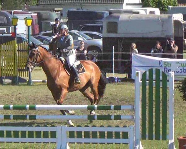 jumper Lester Lightning (Holsteiner, 1991, from Lavarius)