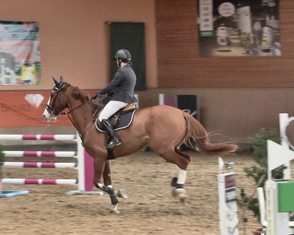 Reitturnier Gut Winkelacker/Obb. 2021