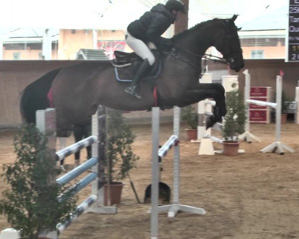 Reitturnier Gut Winkelacker/Obb. 2021