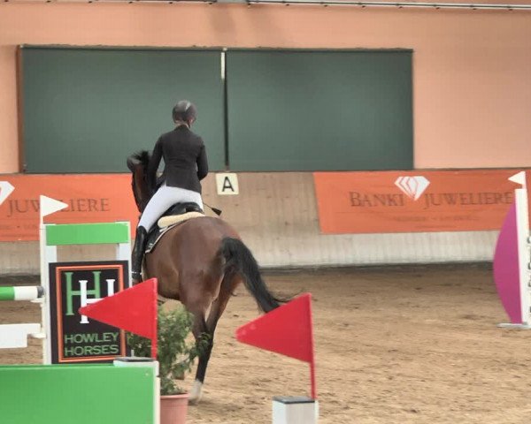Reitturnier Gut Winkelacker/Obb. 2021