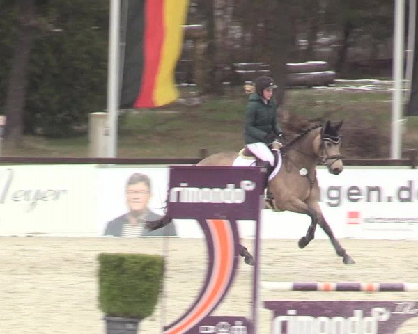 Reitturnier Westergellersen 2021