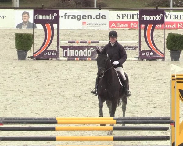 Reitturnier Westergellersen 2021