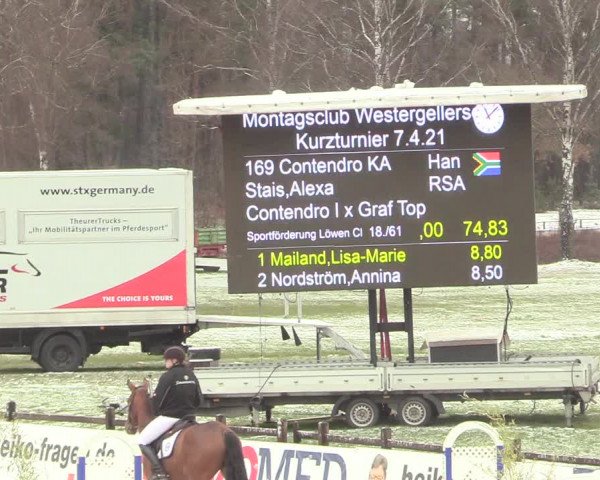 Reitturnier Westergellersen 2021