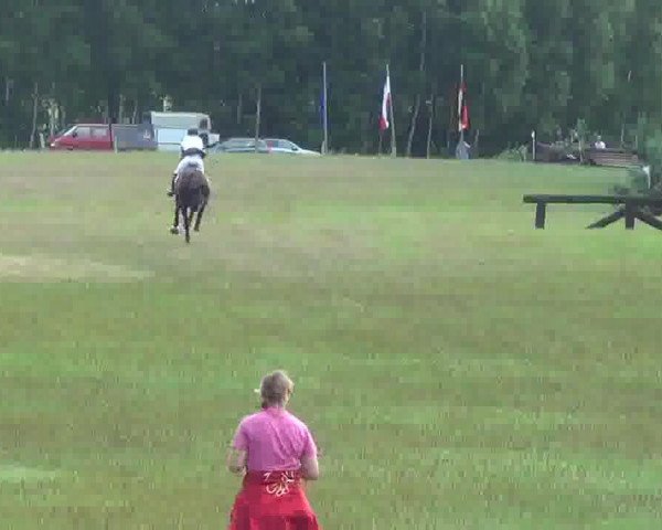 broodmare Sunrise 44 (Holsteiner, 1994, from Sunset Boulevard xx)