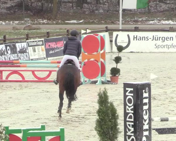Reitturnier Westergellersen 2021