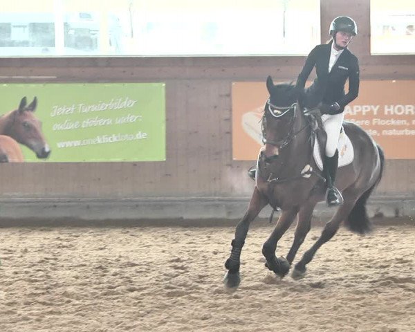 Reitturnier Gut Winkelacker/Obb. 2021