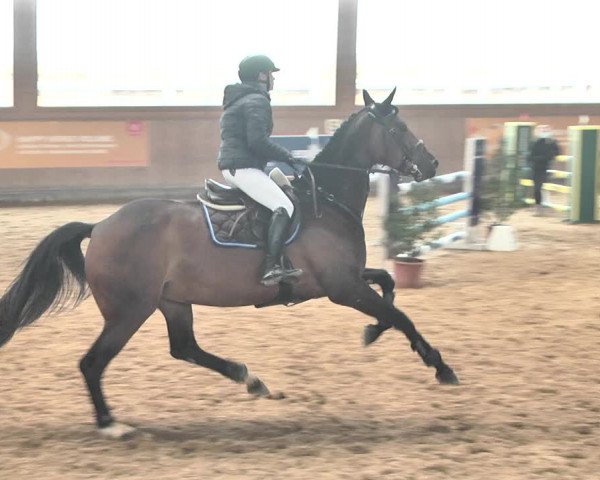 Reitturnier Gut Winkelacker/Obb. 2021