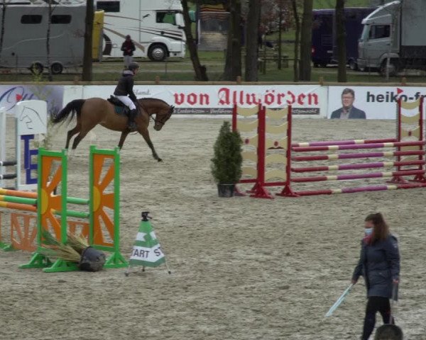 Reitturnier Westergellersen 2021