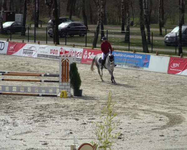 Reitturnier Westergellersen 2021