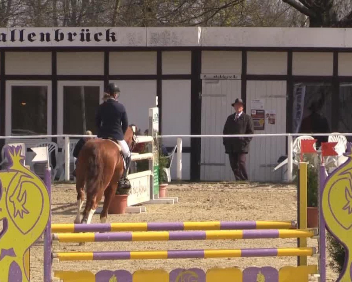 jumper Tumirnix S (Oldenburg, 2011, from Armani)