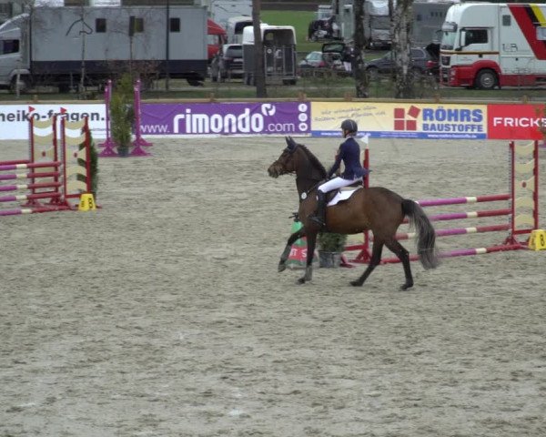 Reitturnier Westergellersen 2021