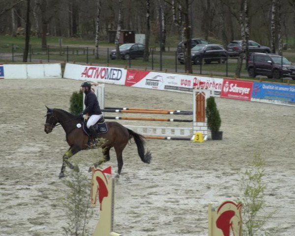 Reitturnier Westergellersen 2021