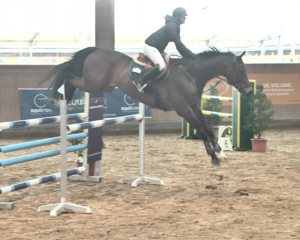 Reitturnier Gut Winkelacker/Obb. 2021