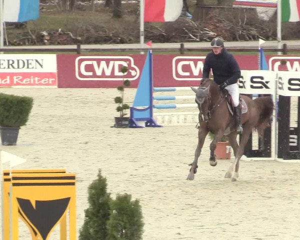 Reitturnier Westergellersen 2021