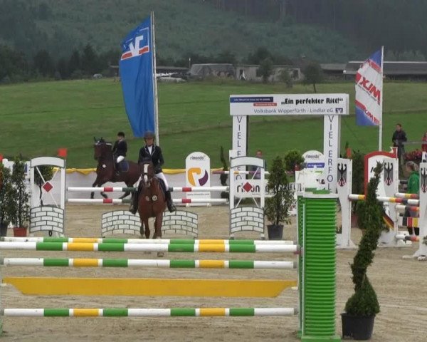 jumper Camelot 45 (Holsteiner, 1996, from Cor de la Bryère)