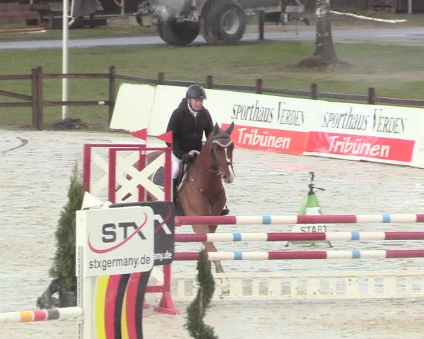Reitturnier Westergellersen 2021