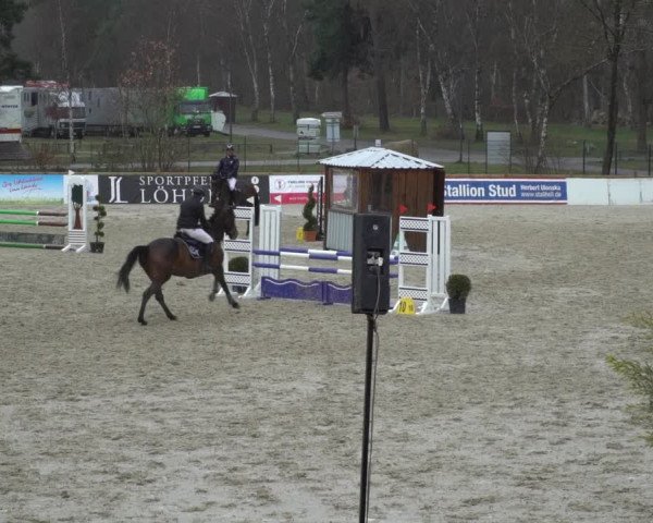 Reitturnier Westergellersen 2021