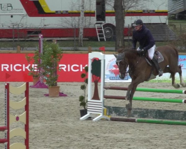Reitturnier Westergellersen 2021