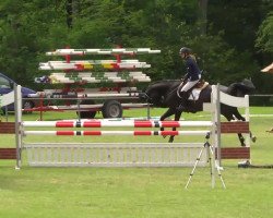 jumper Filou 1438 (German Warmblood, 1999, from Feuertanz)