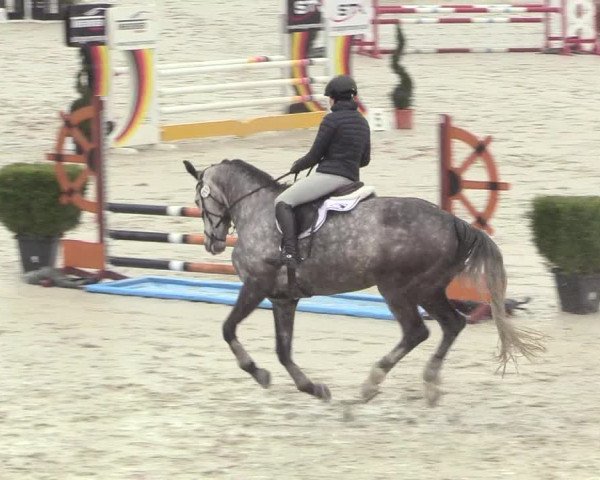 Reitturnier Westergellersen 2021