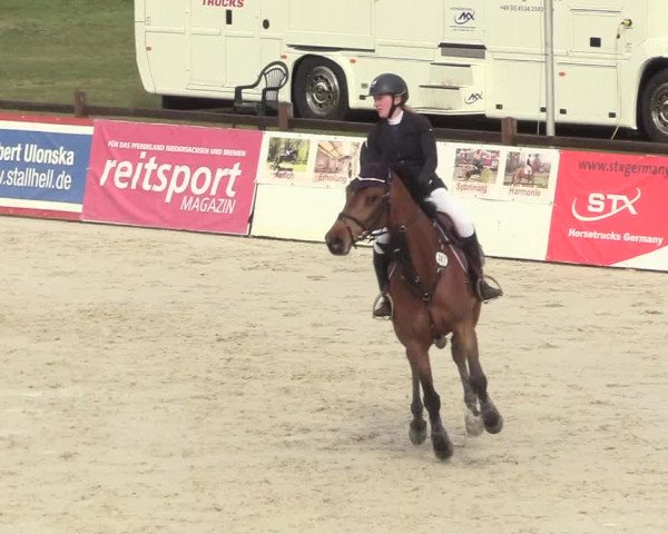 Reitturnier Westergellersen 2021