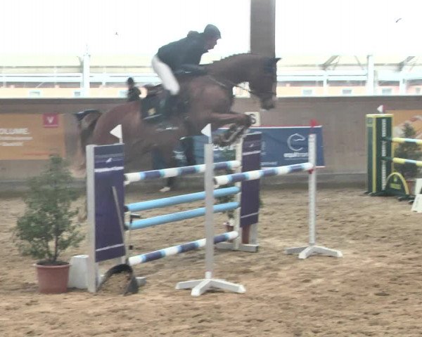 Reitturnier Gut Winkelacker/Obb. 2021