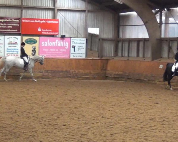 dressage horse Inox 2 (Trakehner, 1997, from Vivus)