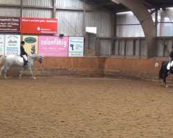 dressage horse Inox 2 (Trakehner, 1997, from Vivus)