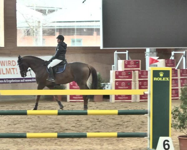 Reitturnier Gut Winkelacker/Obb. 2021