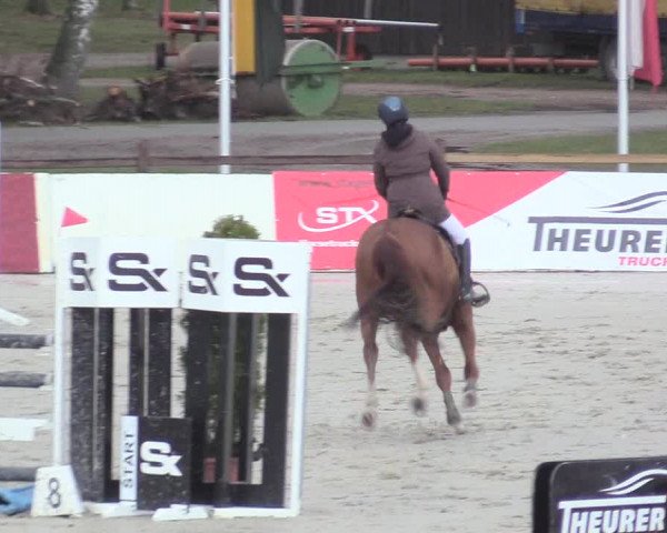 Reitturnier Westergellersen 2021