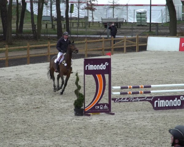 Reitturnier Westergellersen 2021