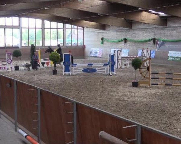 Springpferd Red Letter Day (Irish Sport Horse, 1997, von Furisto)