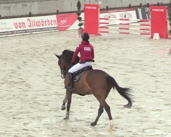 Reitturnier Westergellersen 2021