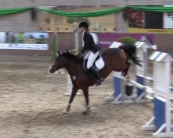 jumper Top Secret 47 (German Riding Pony, 2005, from Top Nordpol)
