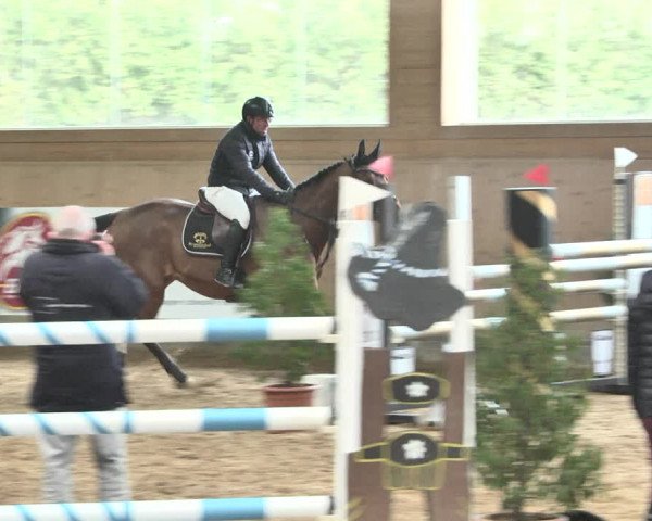 Reitturnier Gut Winkelacker/Obb. 2021