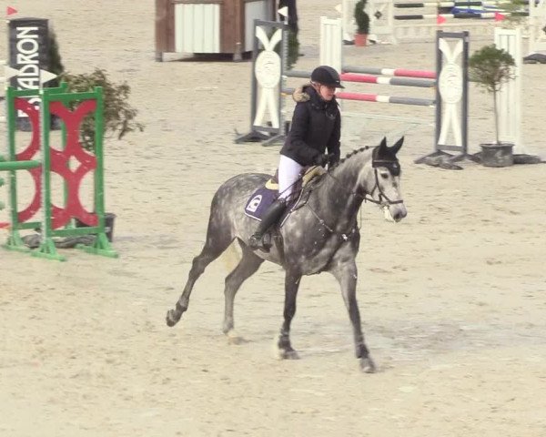 Reitturnier Westergellersen 2021