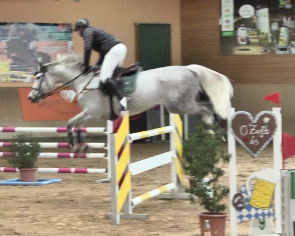Reitturnier Gut Winkelacker/Obb. 2021