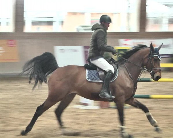 Reitturnier Gut Winkelacker/Obb. 2021