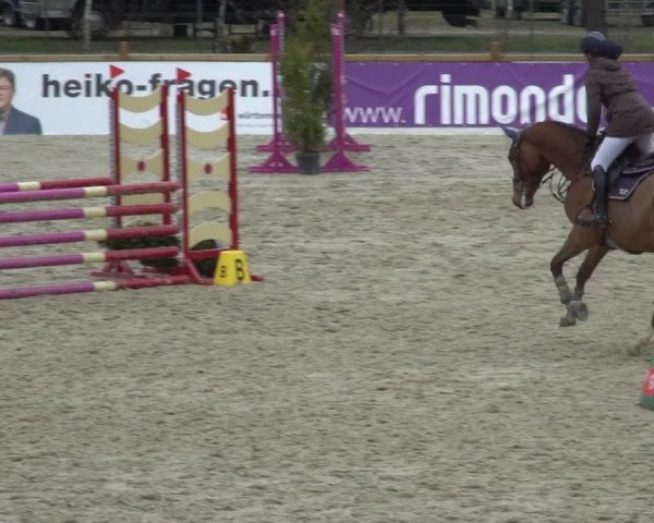 Reitturnier Westergellersen 2021