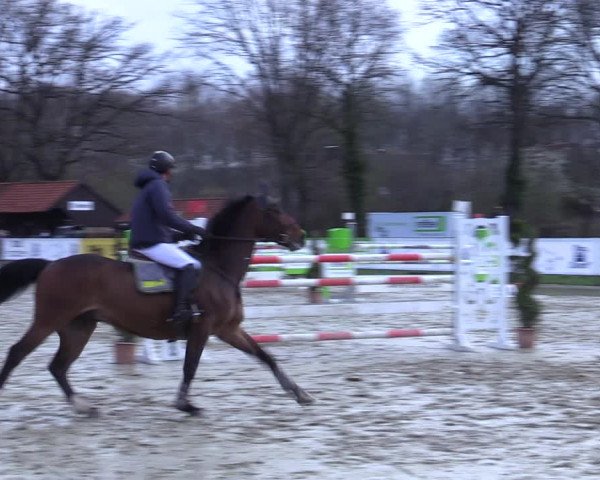 Reitturnier Münster-Handorf 2021
