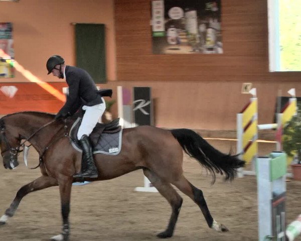 Reitturnier Gut Winkelacker/Obb. 2021