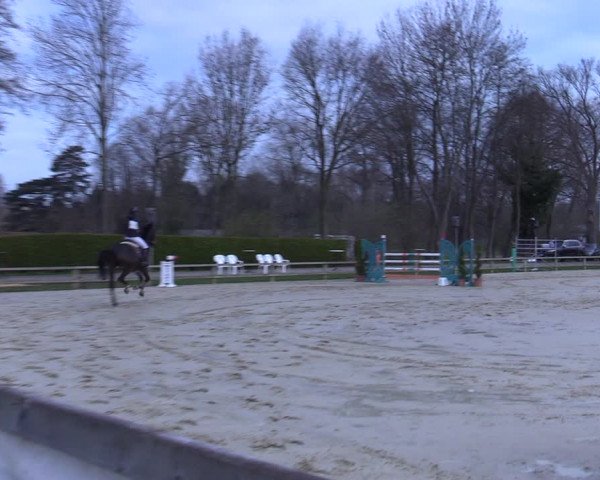 Reitturnier Münster-Handorf 2021