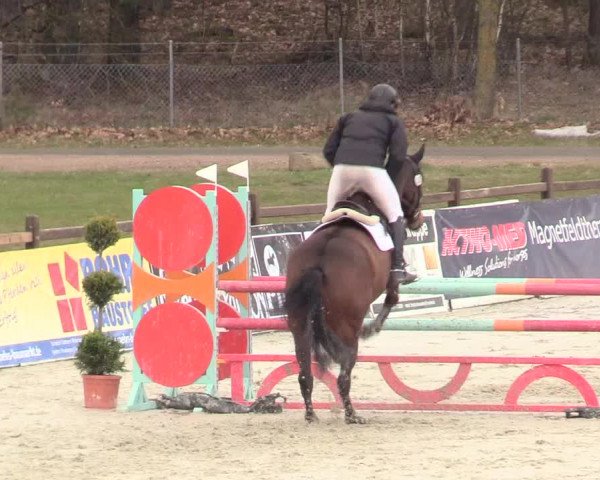 Reitturnier Westergellersen 2021