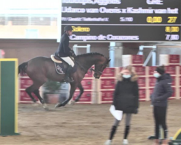 Reitturnier Gut Winkelacker/Obb. 2021