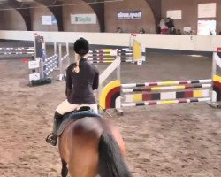 jumper Gina Lisa (Hanoverian, 2006, from Graf Top)
