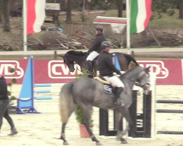 Reitturnier Westergellersen 2021
